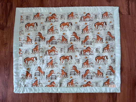 Accessories Baby Blanket Bull By The Horns Plush Minky.