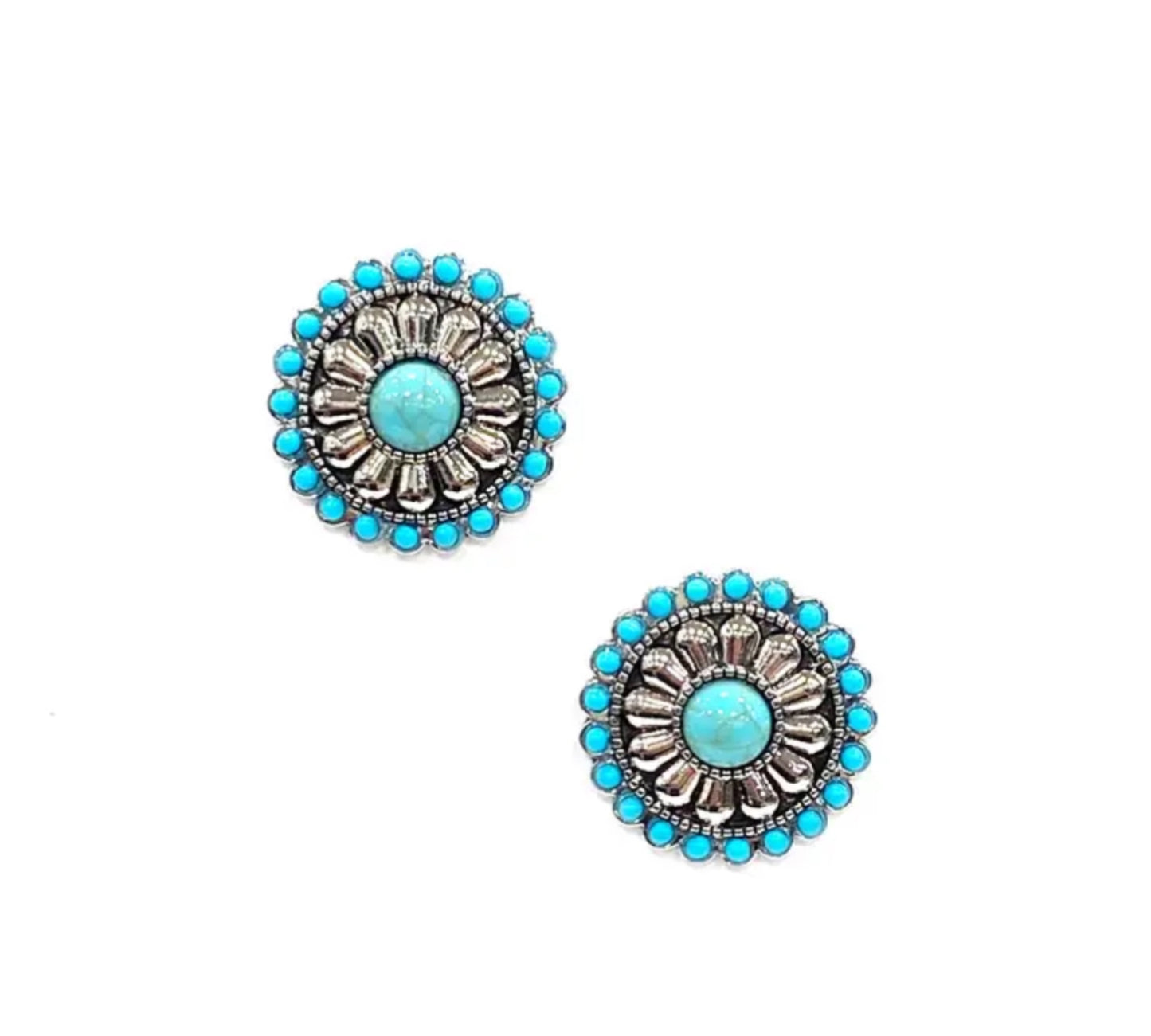 Earrings Blue stone Fashion Jewelry ER210630