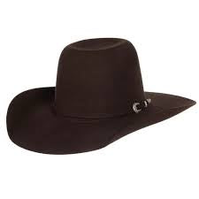 Felt Hat Kids Resistol Pay Window JR 4X