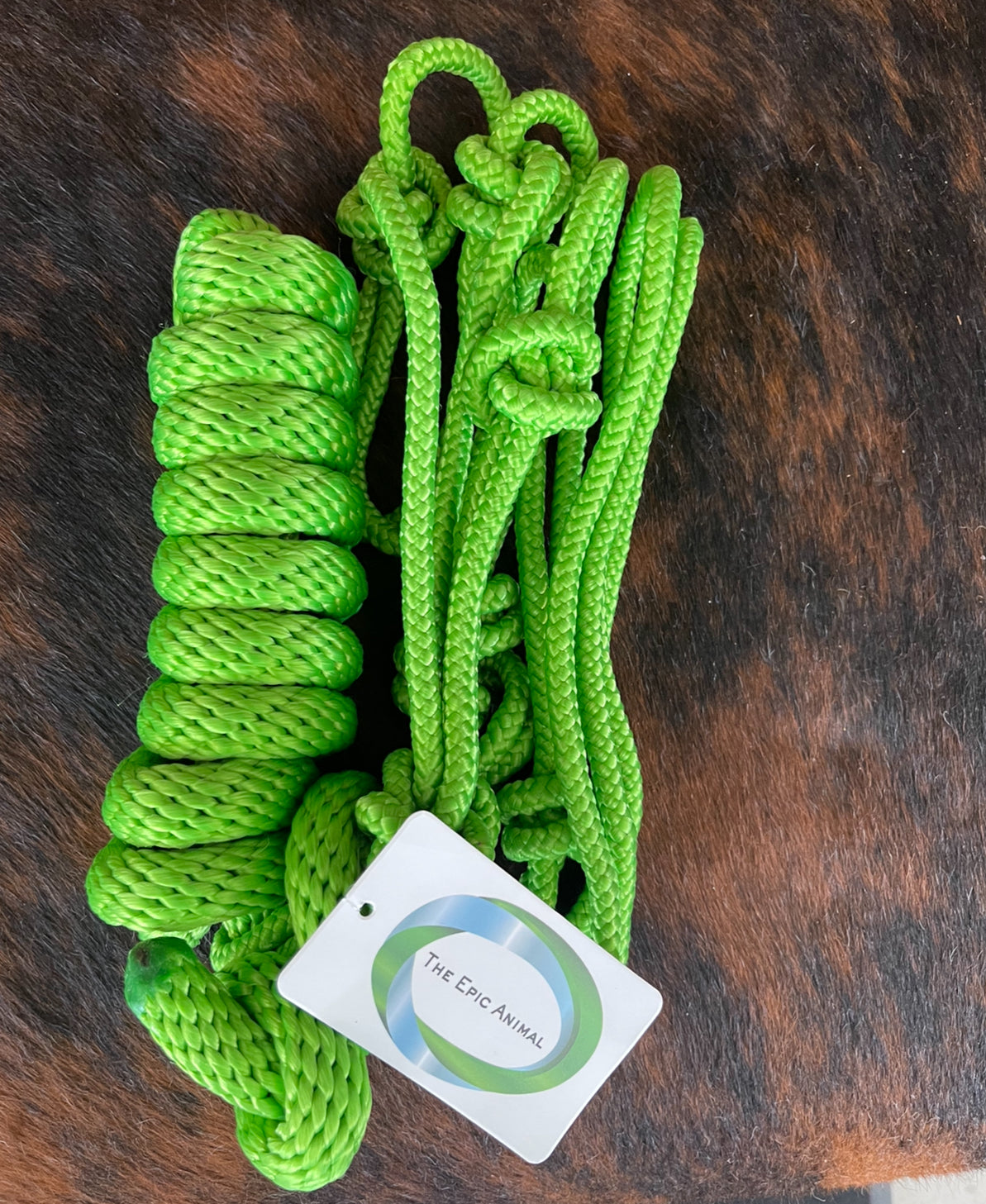 Tack Rope Halter BOGO