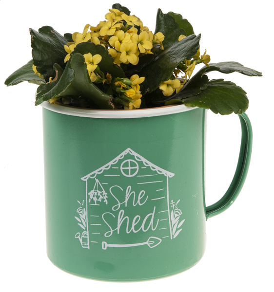 Home Decor Mini Decorative Mug CG175926