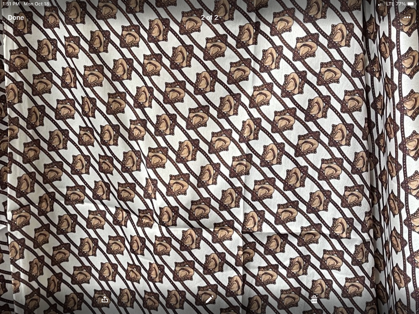 Wild Rags Cruel Cowboy Hats CXX7207007