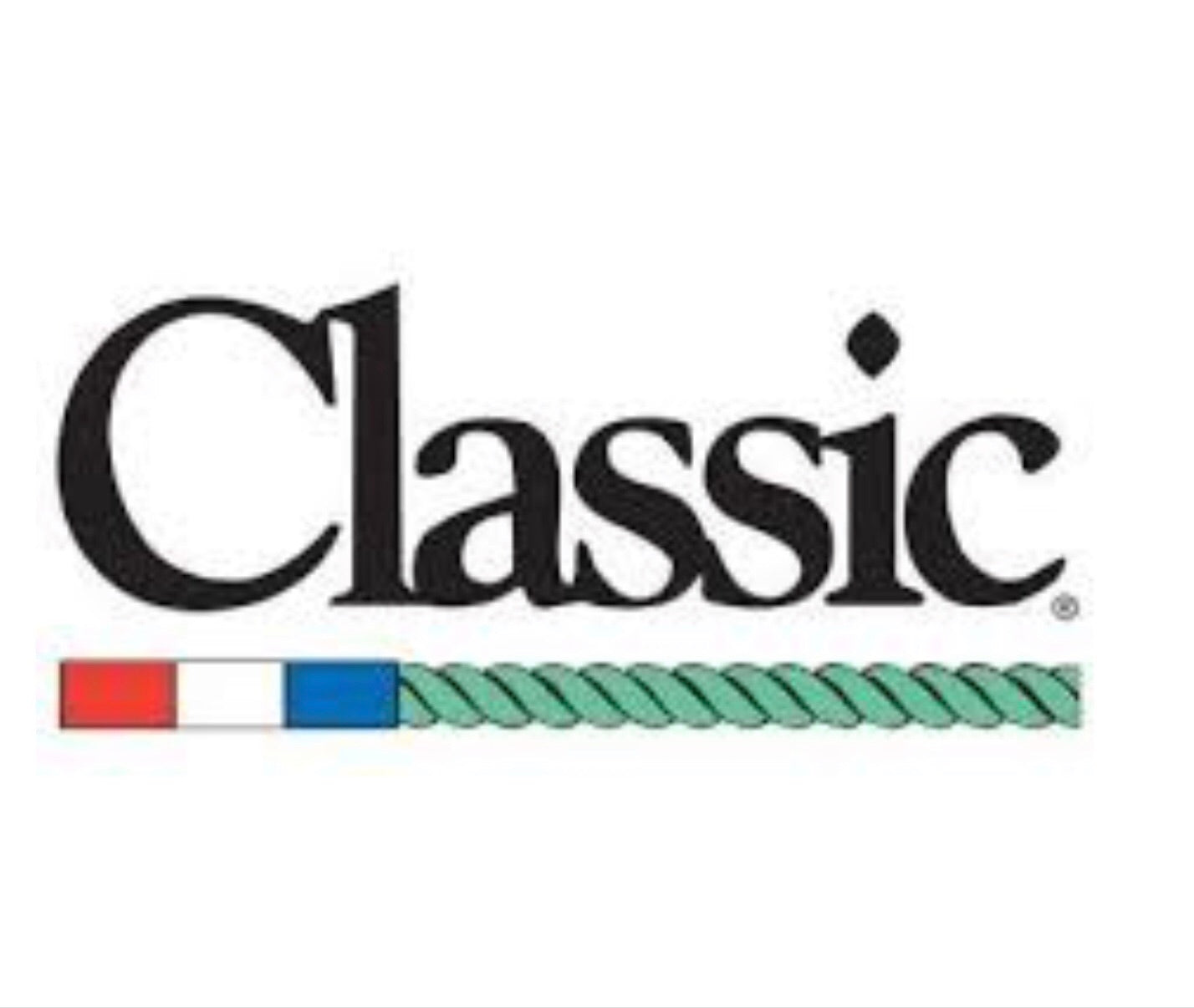 Classic Roping Steer Head