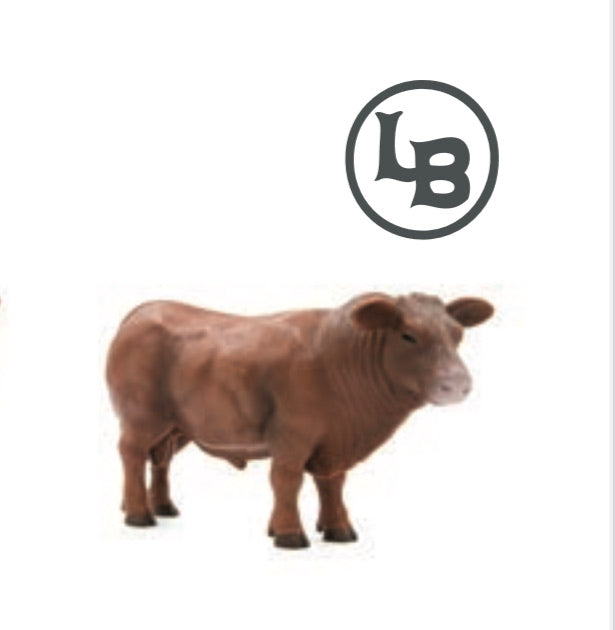 Toys Little Buster Red Angus Bull 500254