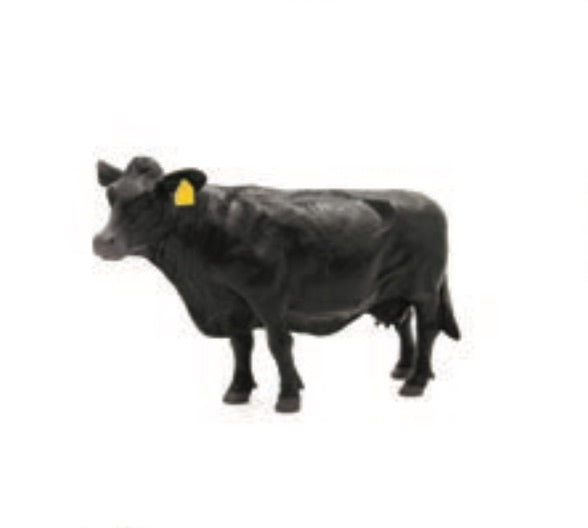 Toys Little Buster Angus Cow 500256