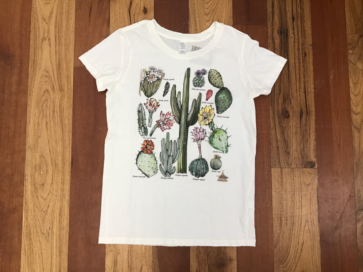 Cactus flowers tee shirt by Tasha Polizzi