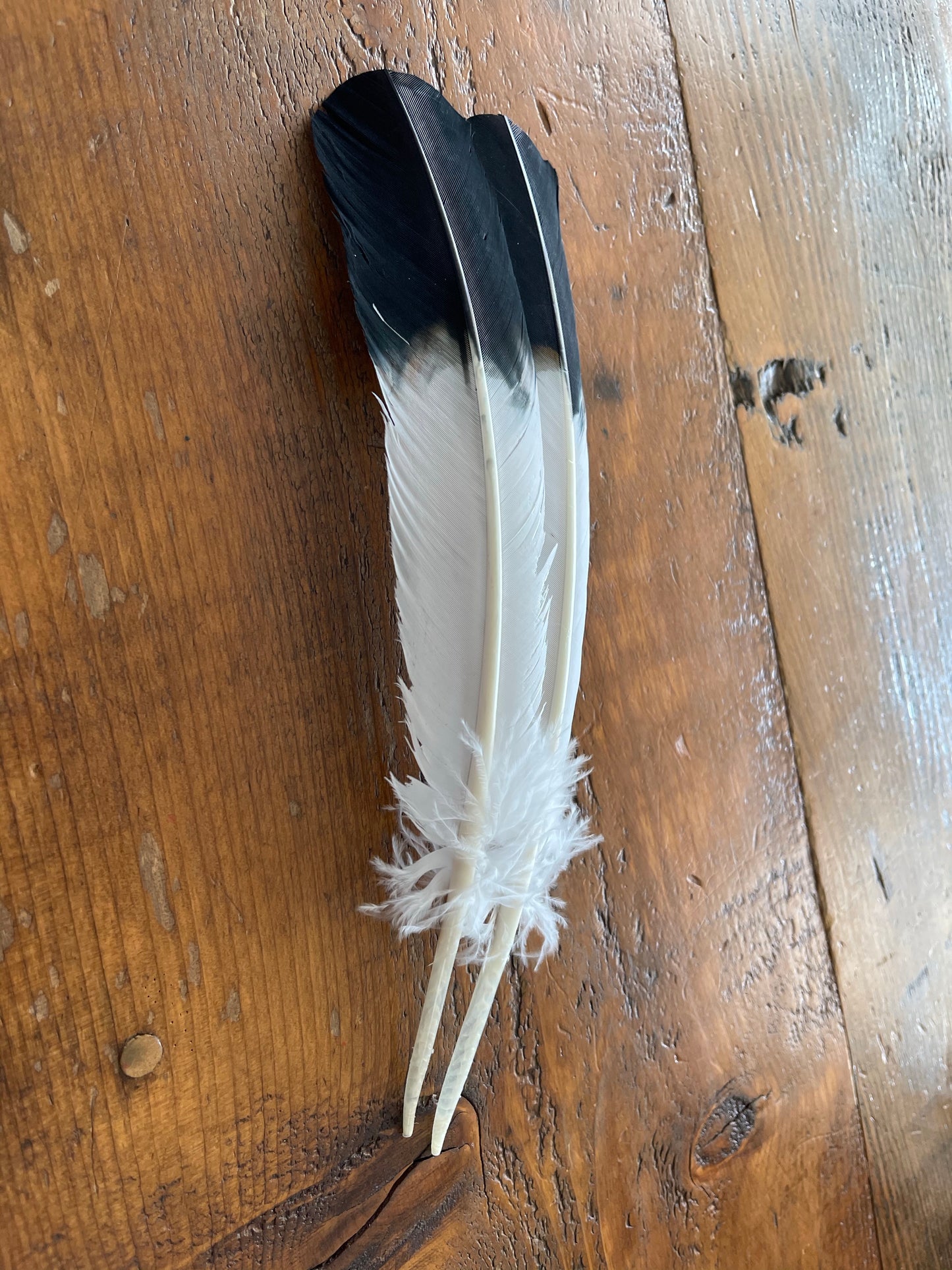 Imitation Eagle Feather F-12