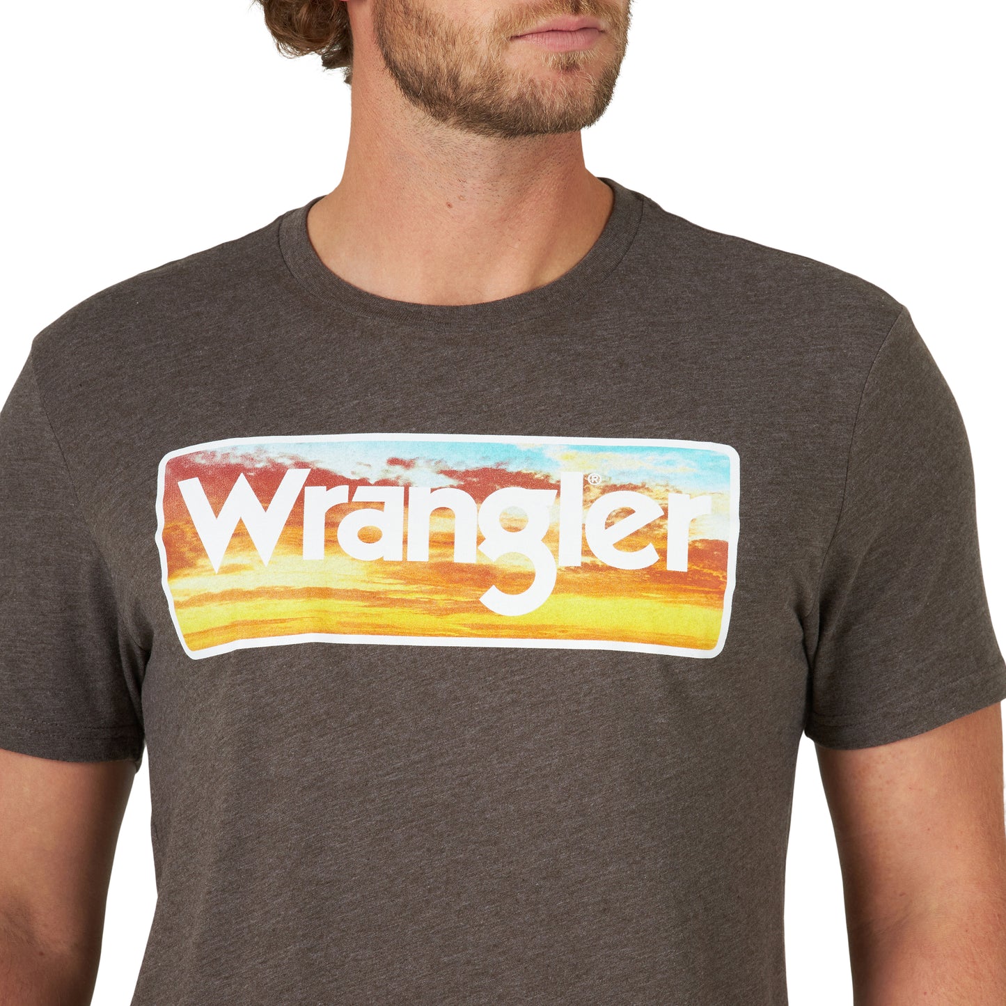 Shirts Mens Wrangler Logo Tee 112319277