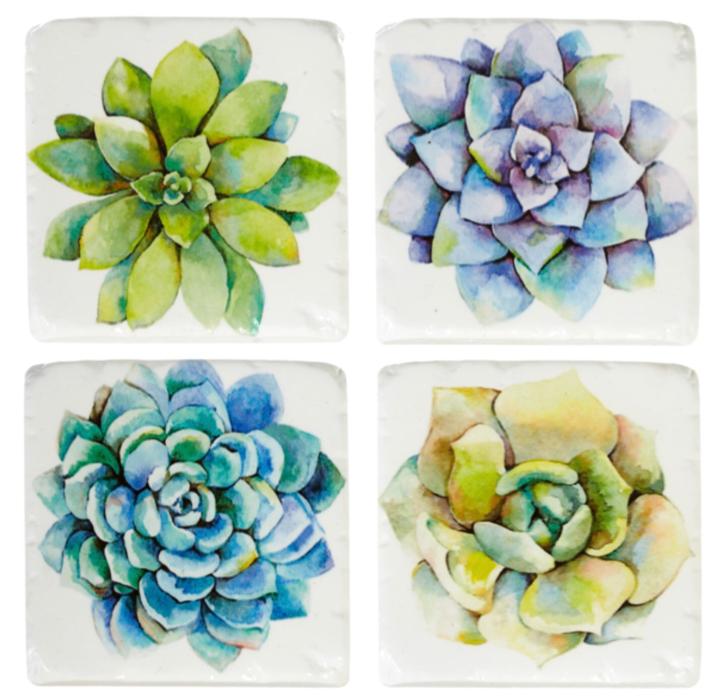 Giftware Succulent coasters