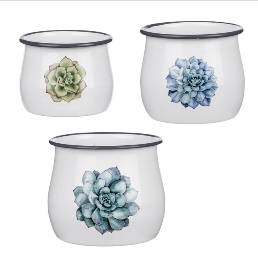 Giftware Enamel Succulent Mini Planters