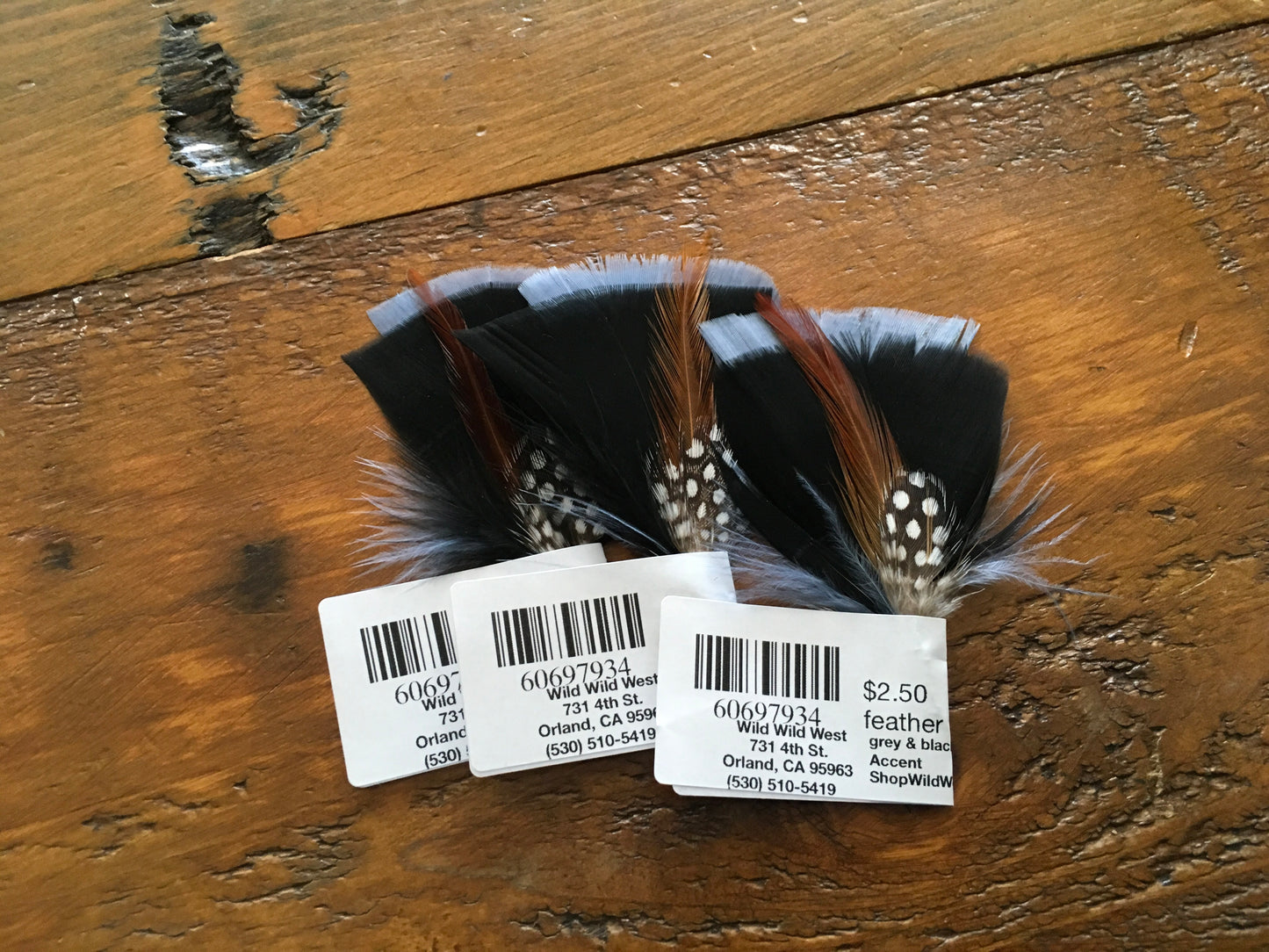 Accessories Hat Feathers Accents FS-01