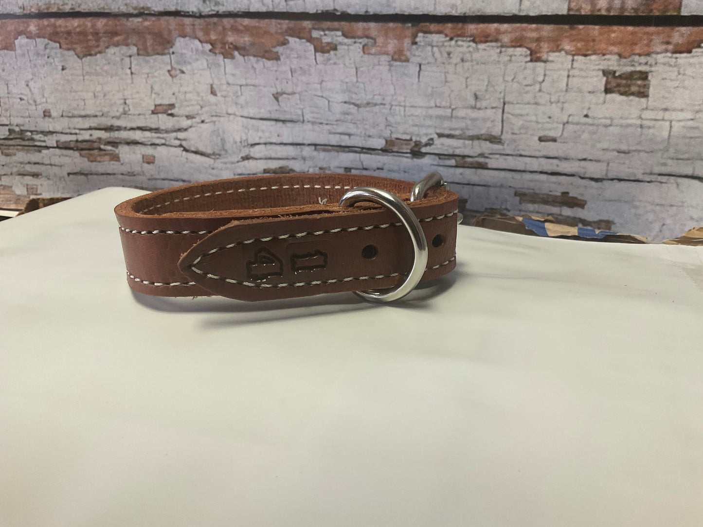 Dog Collar Pioneer Tack