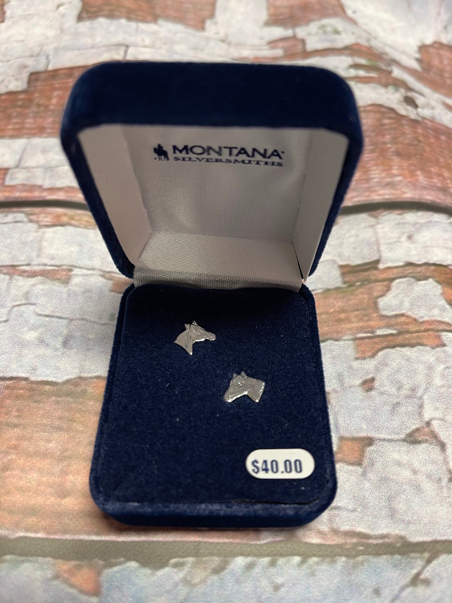 Montana Silversmiths jewelry ER41