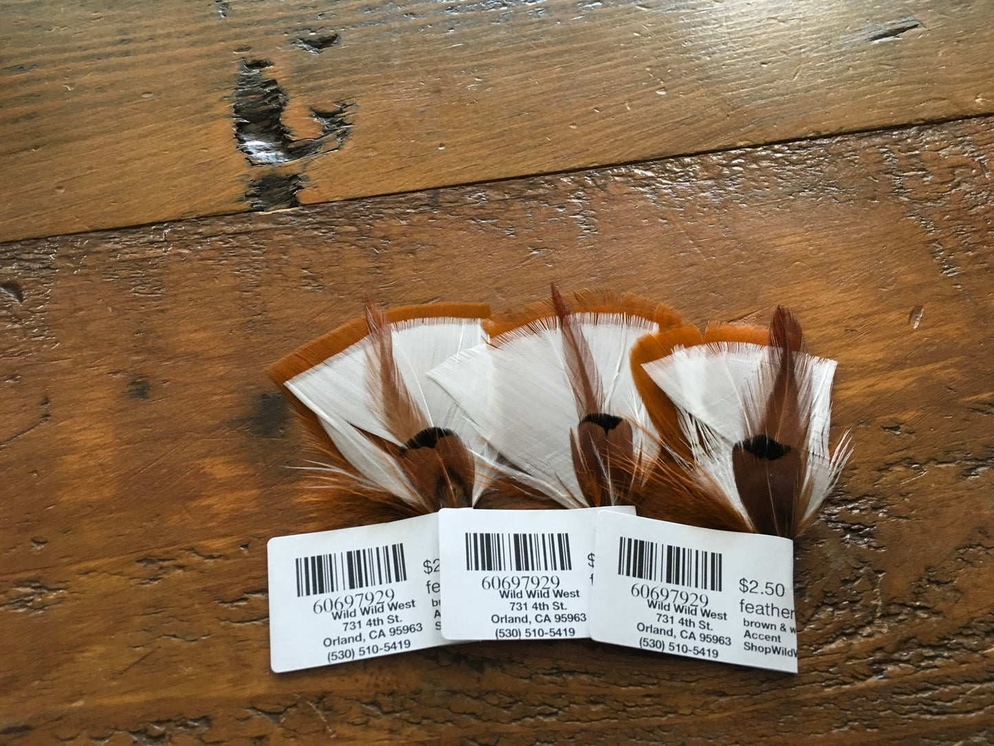 Accessories Hat Feathers/Brown White Accents