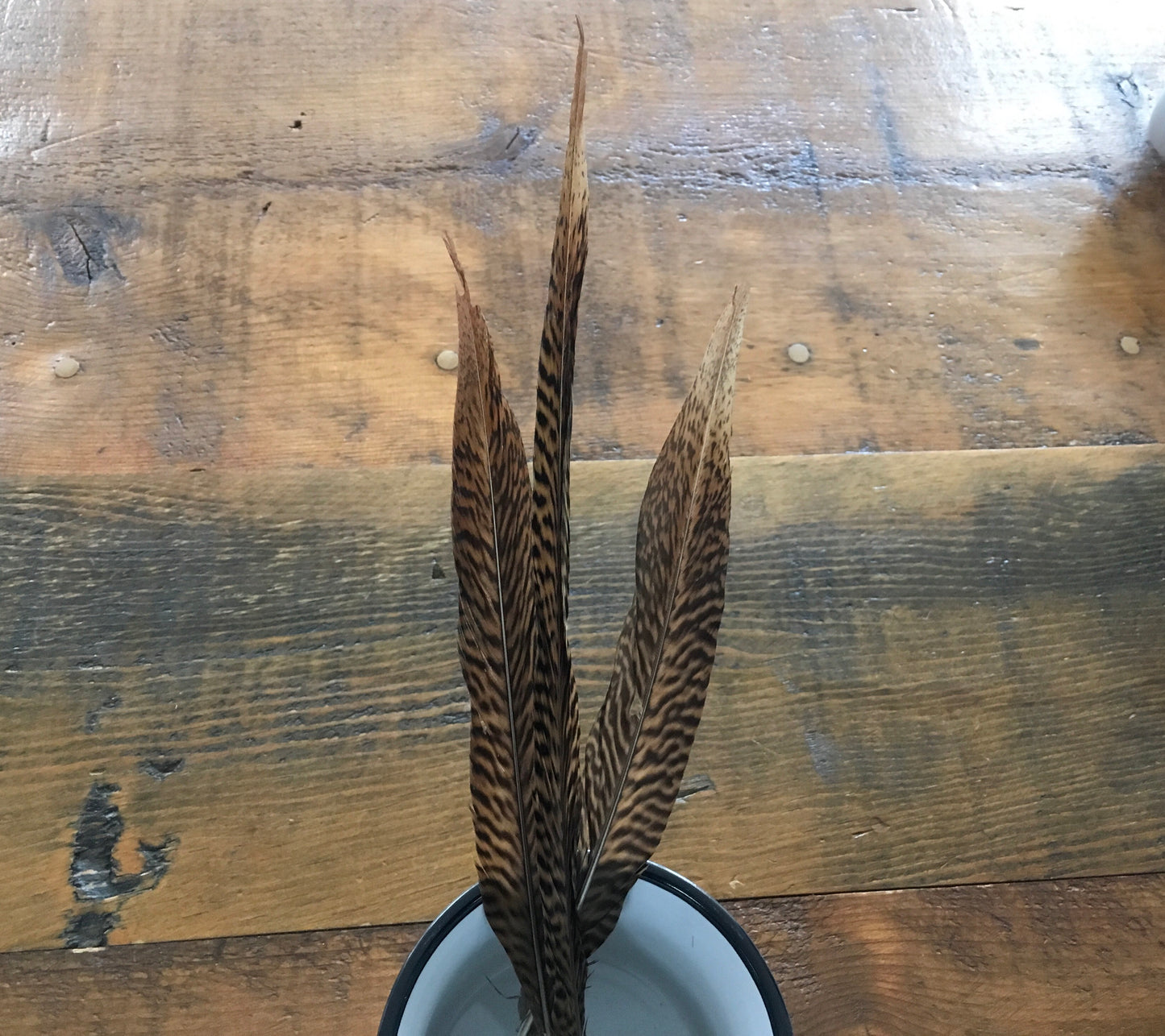 Accessories Hat Feathers F-55