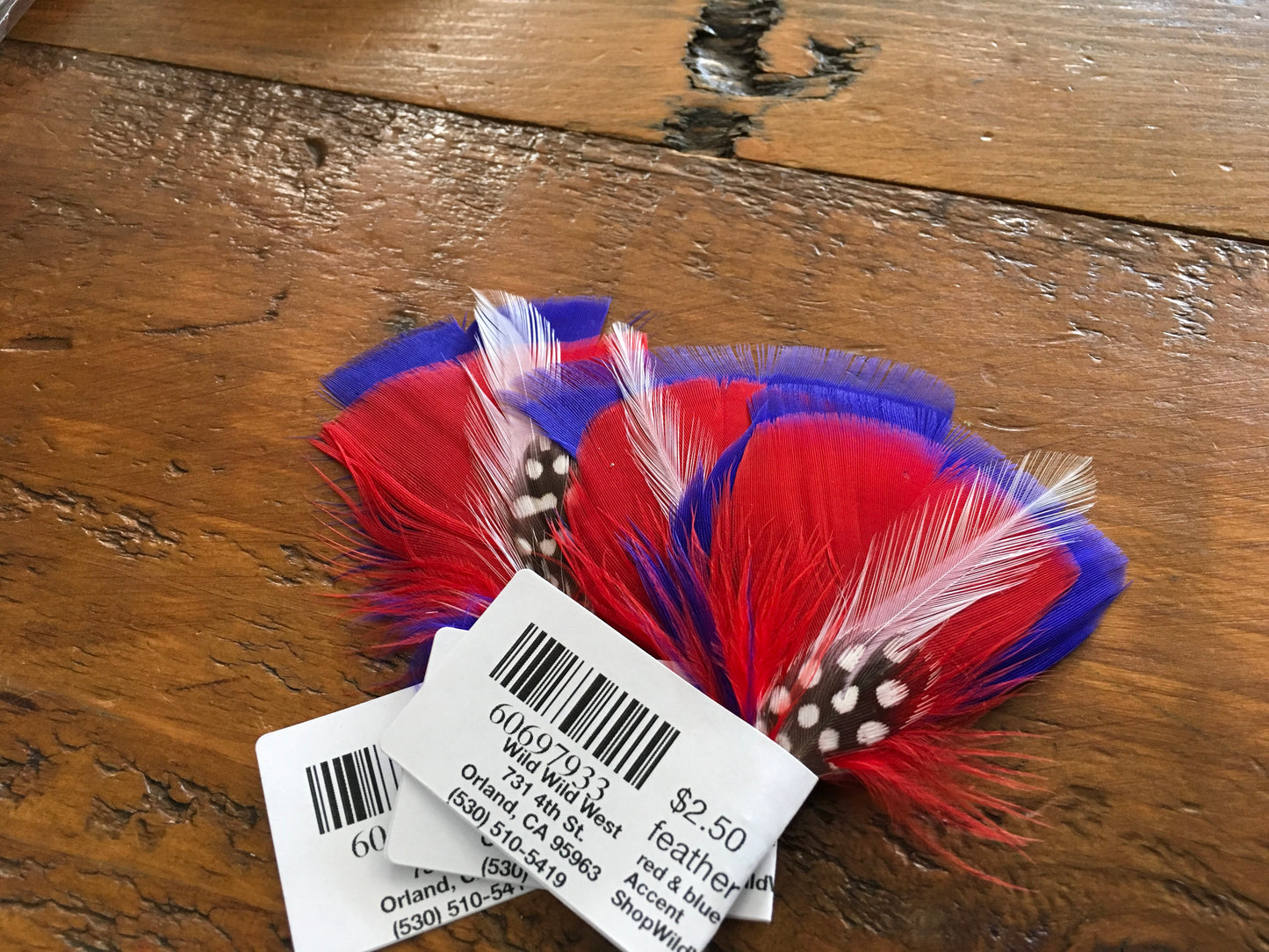 Accessories Hat Feathers FS-01 Accent