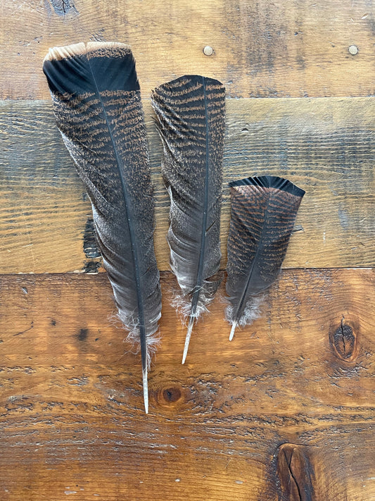 Accessories Hat Turkey Feathers