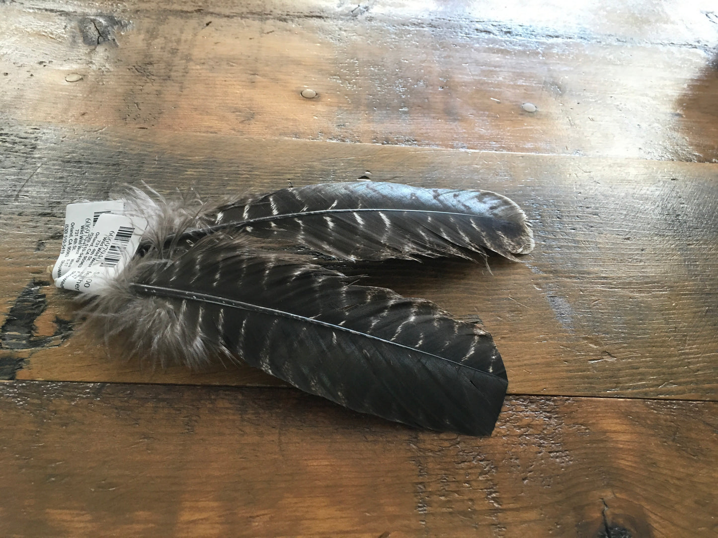 Accessories Hat Feathers F-17