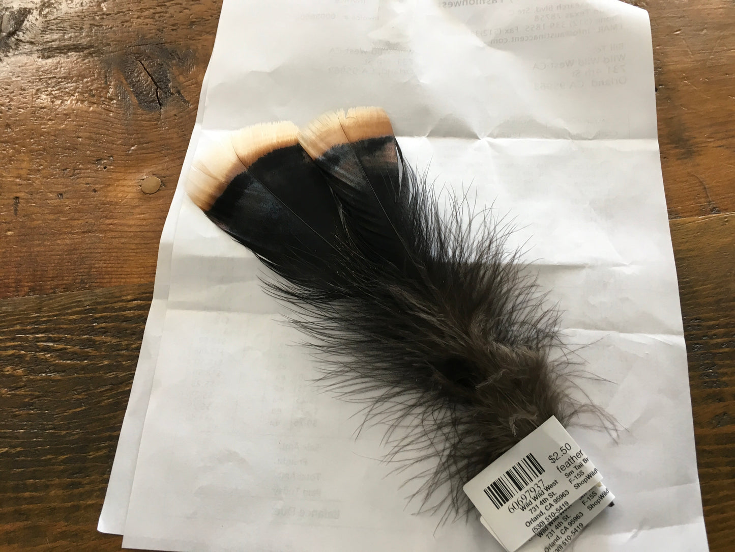 Accessories Hat Feathers F-15S