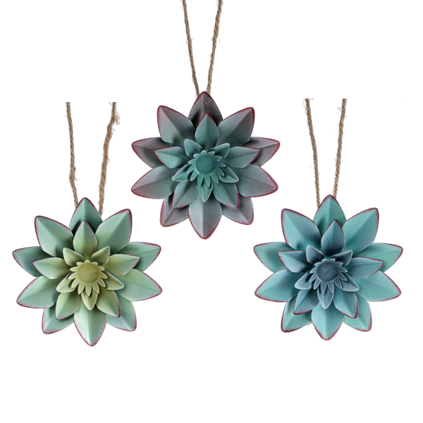 Succulent home decor ornament CB176271