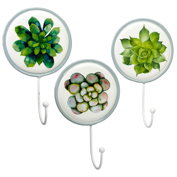 Giftware Enamel Succulent Wall Hook 163355