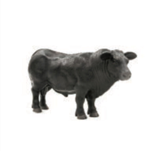 Toys Little Buster Angus Bull 500250