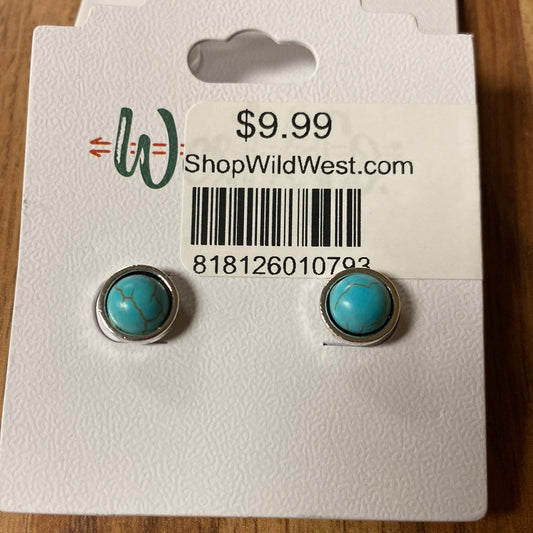 Earrings Turquoise Post E589