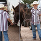 Shirts Boys Short Sleeve  MTW7171002