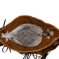 Purses Myra Bag Plains Roundup Leather & Hairon Bag S-7307