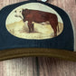 Hats Ball Caps  Herford Bull