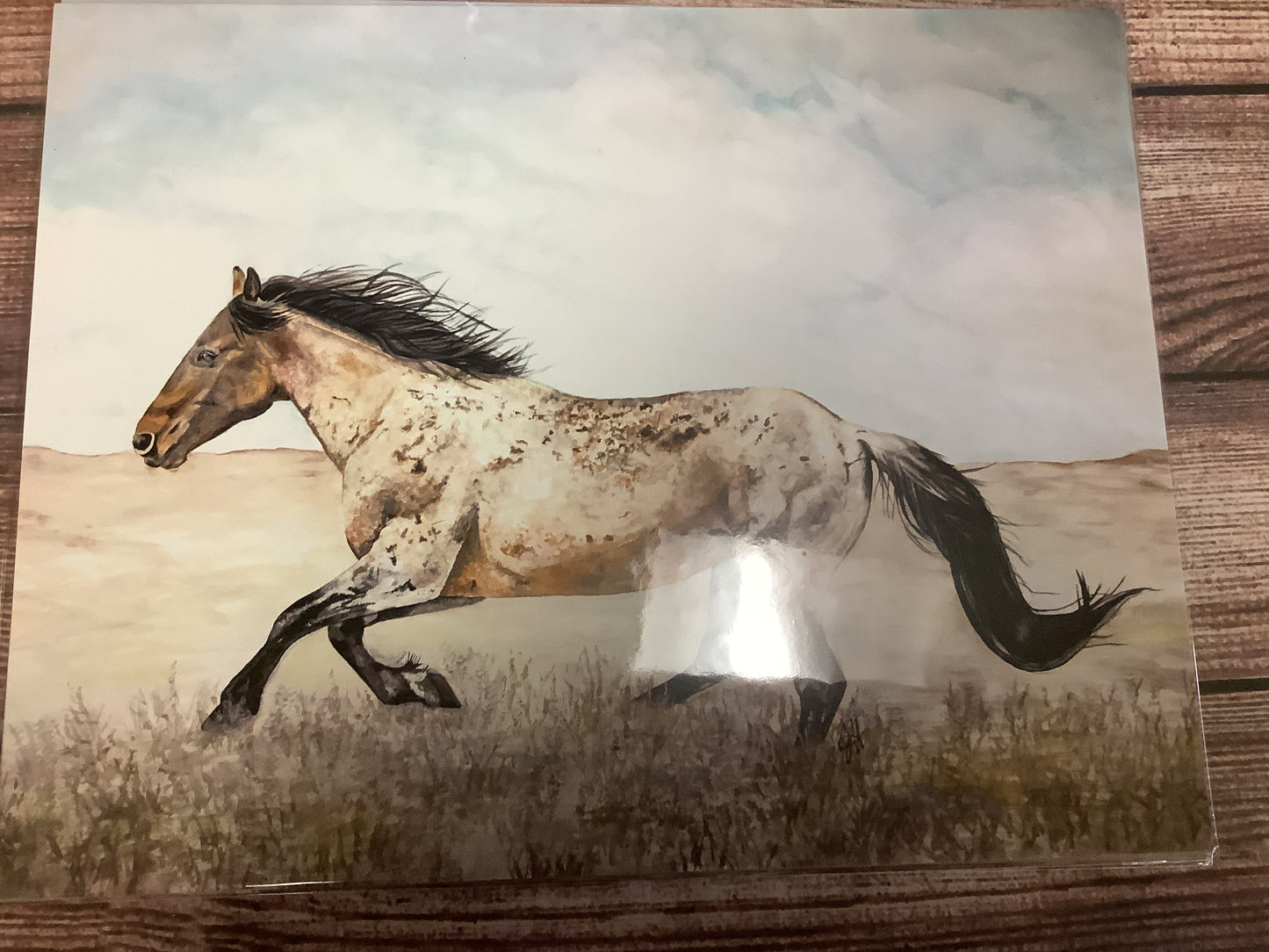 Accessories Western And Farm Prints