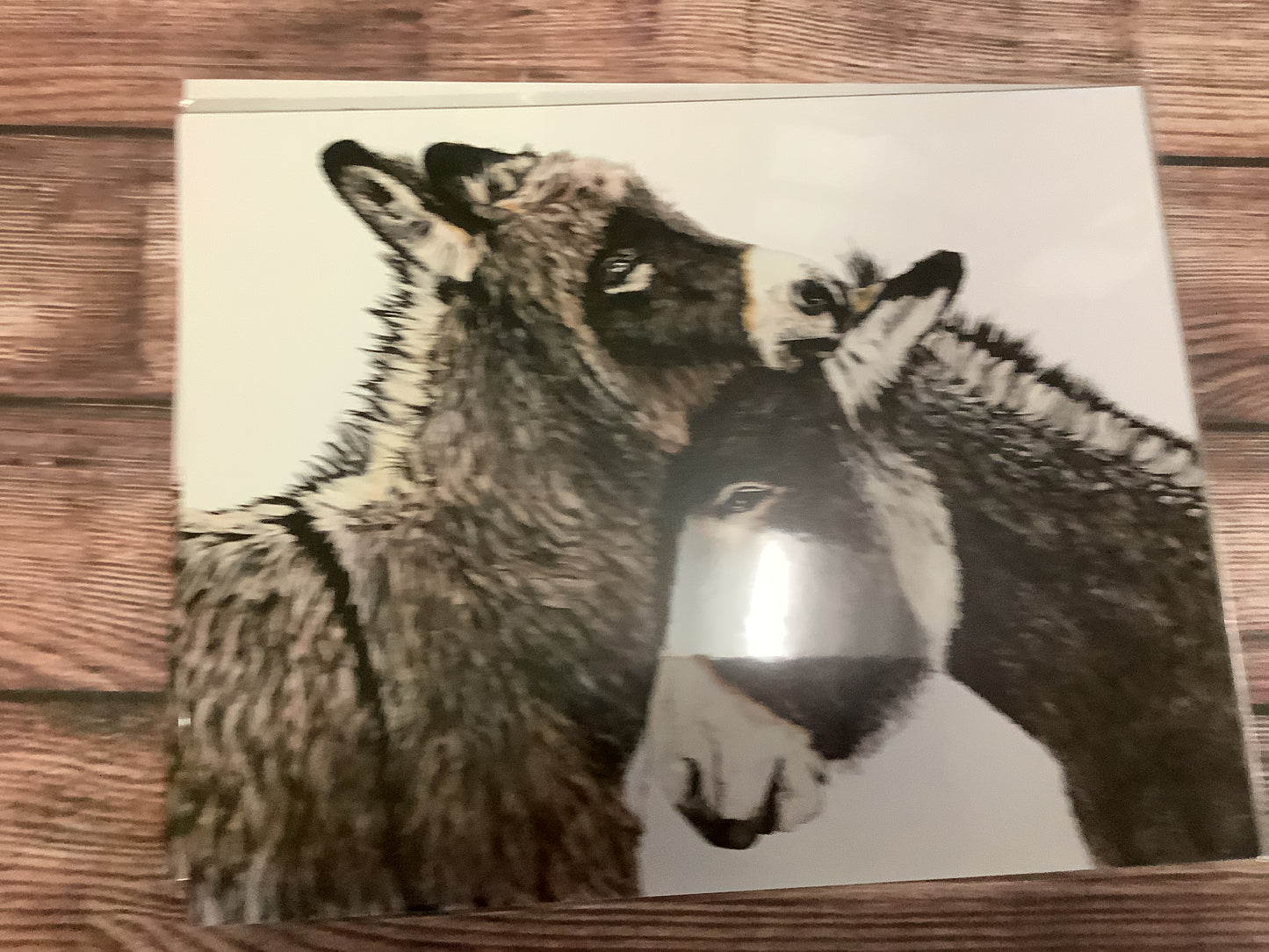 Accessories Western And Farm Prints