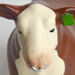 Toy’s Little Buster Hereford Show Bull With Nose Ring 200870