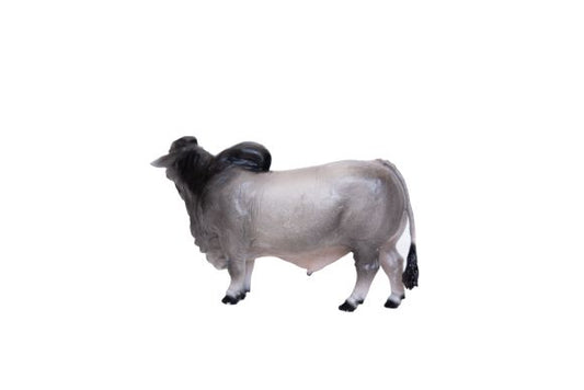 Toys Little Buster Brahman Bull 500253