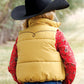 Outerwear Girls Cruel Puffer Vest Gold CWV8018001