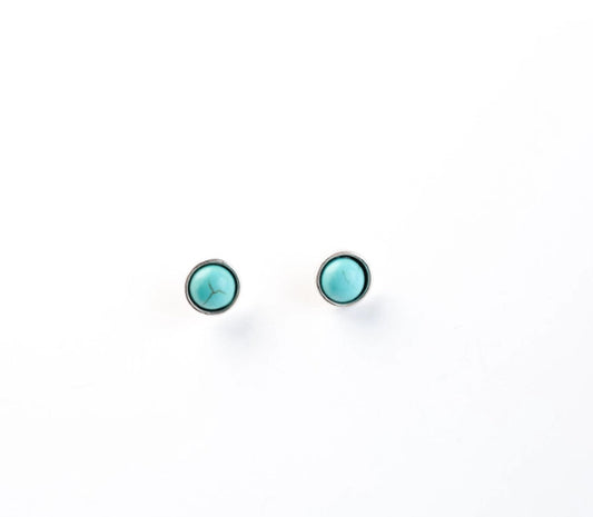 Earrings Turquoise Post E589