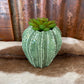 Giftware Faux Succulent Plant in Ceramic Succulent ME178598