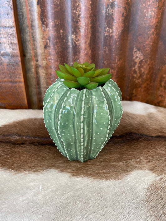 Giftware Faux Succulent Plant in Ceramic Succulent ME178598