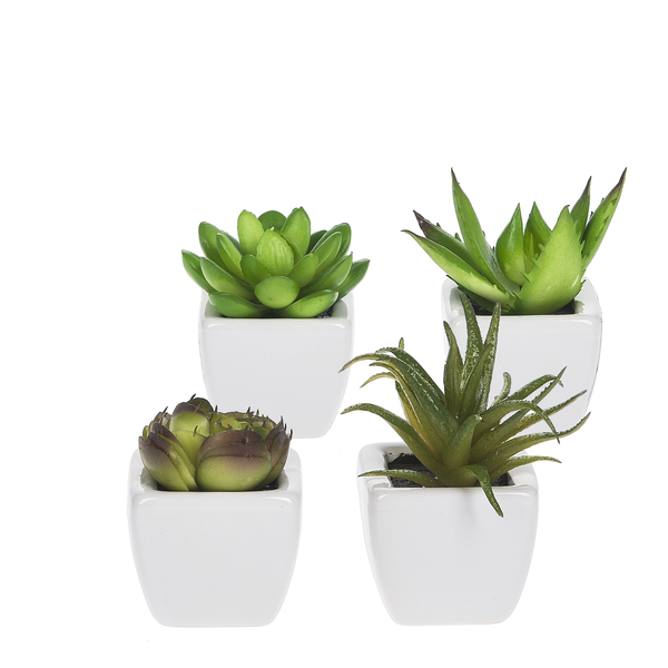 Giftware Succulents in Pots 138397