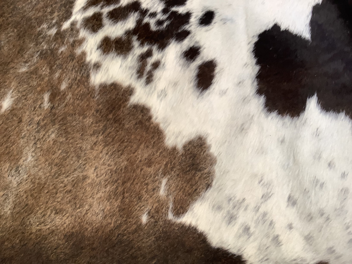 Cow Hide Hair On Cowhides