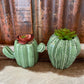 Giftware Faux Succulent Plant in Ceramic Succulent ME178598