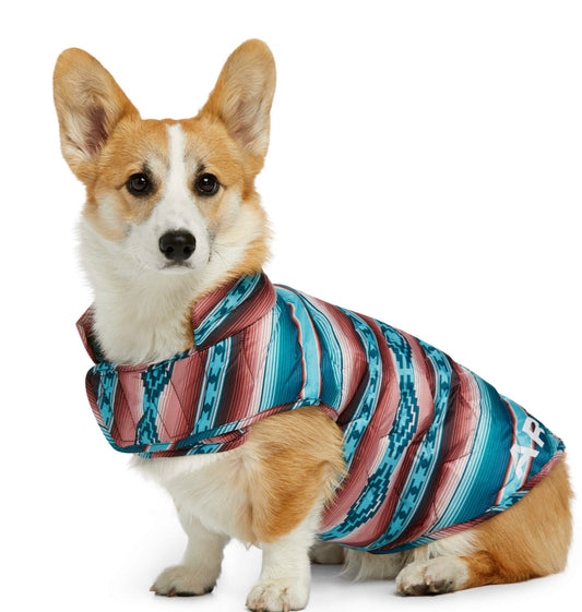 Dog Jacket Ariat 10038214