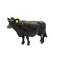 Toys Little Buster Angus Cow 500256