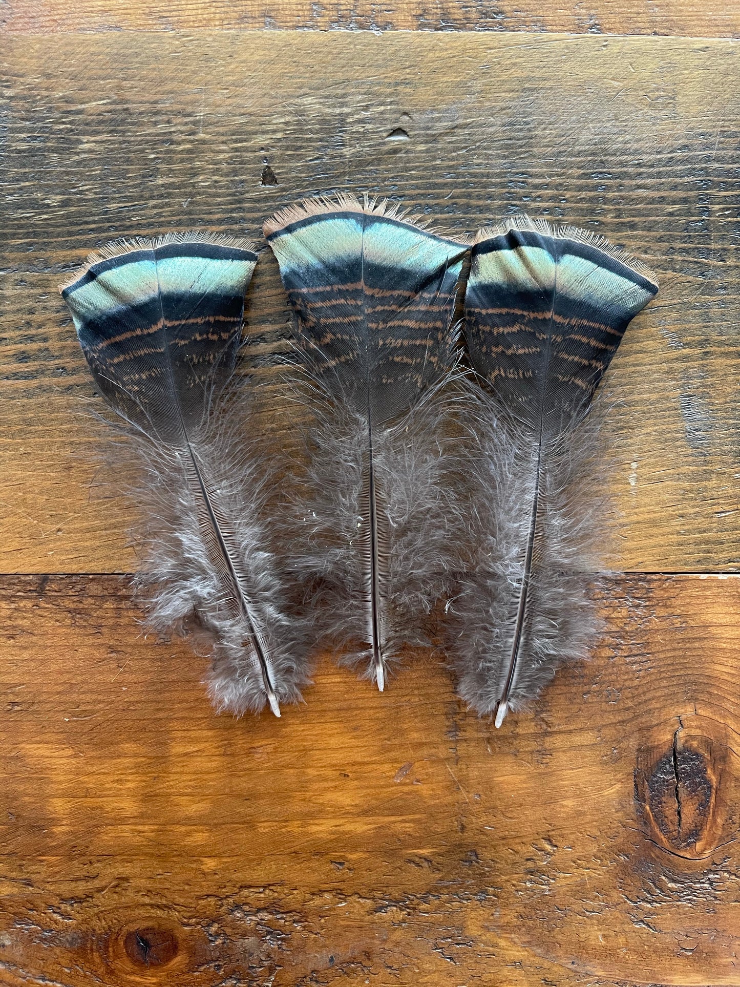 Accessories Hat Turkey Feathers