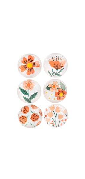 Orange flower Magnet set home decor CB178088