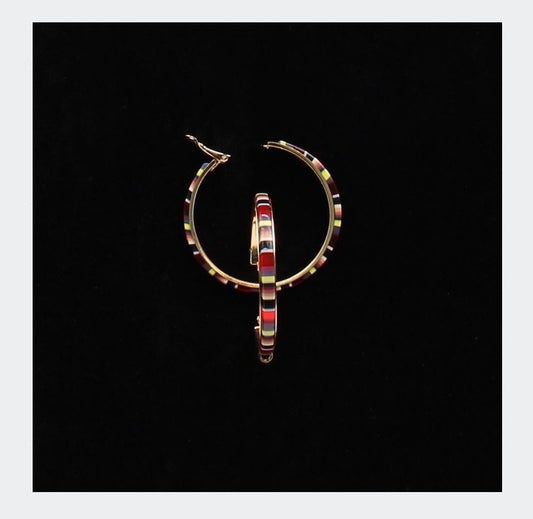 Jewelry earrings Serape Stripe Print  Hoops 30971