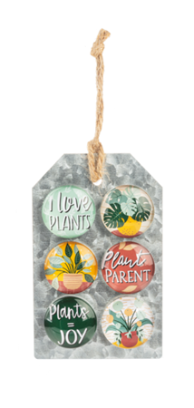 Plant and flower Magnet set home decor CB178319