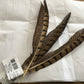 Accessories Hat Feathers F-47