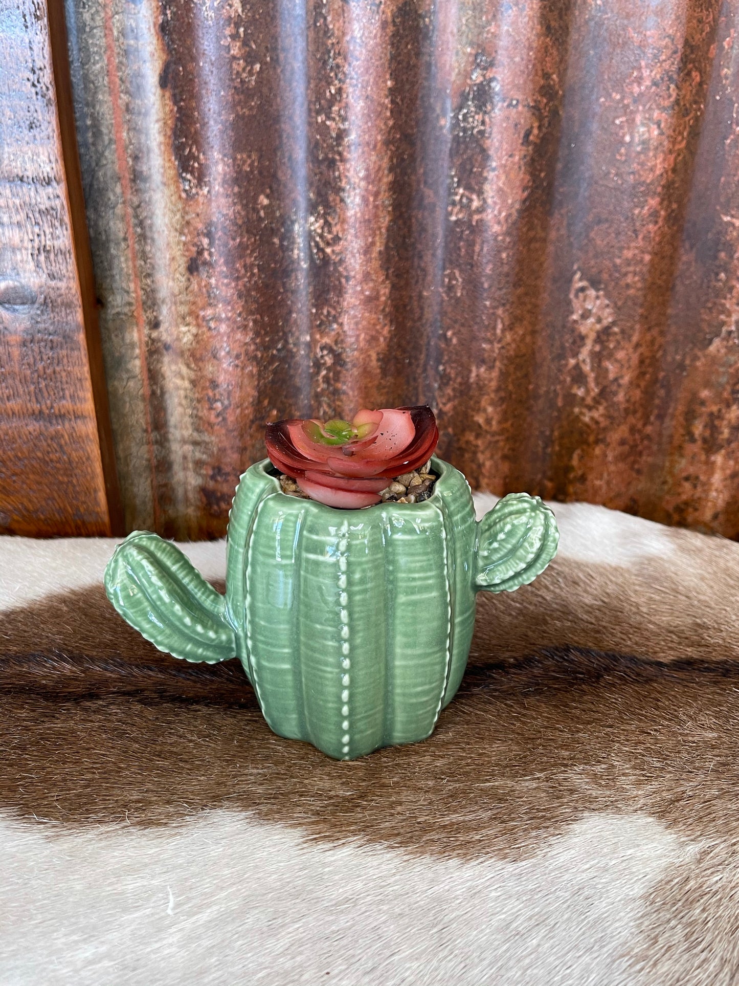 Giftware Faux Succulent Plant in Ceramic Succulent ME178598