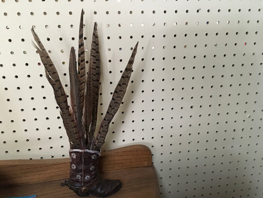 Accessories Hat Feathers,F-56 Pheasant